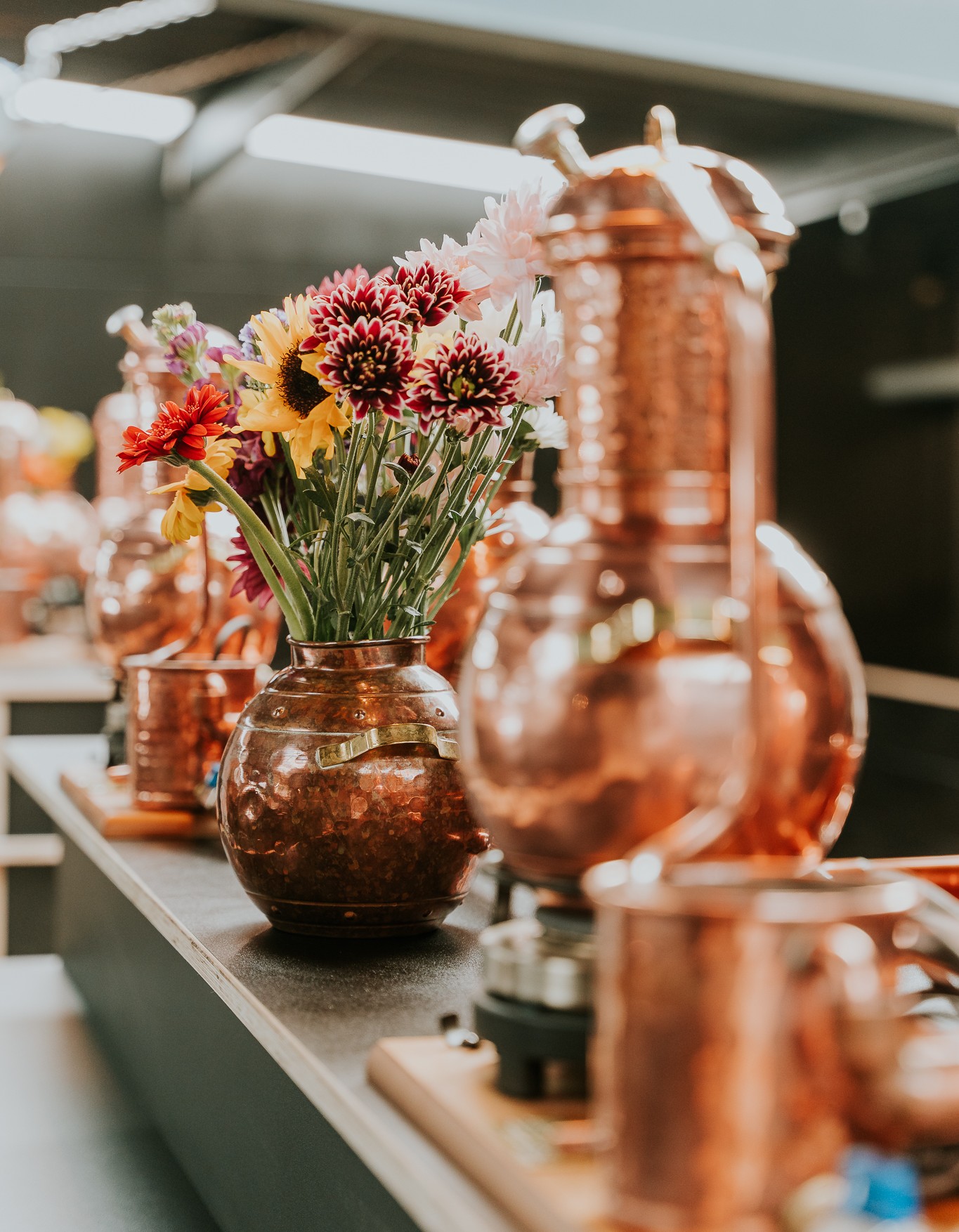 a distillery school with a row of attractive copper receptacles on a counter for a business event